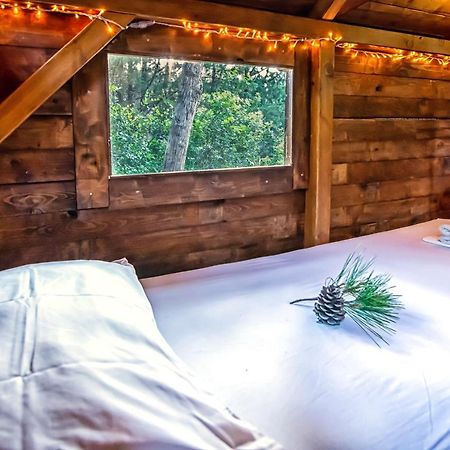 Drolma Ling Nature Cabins Theologos  Ngoại thất bức ảnh