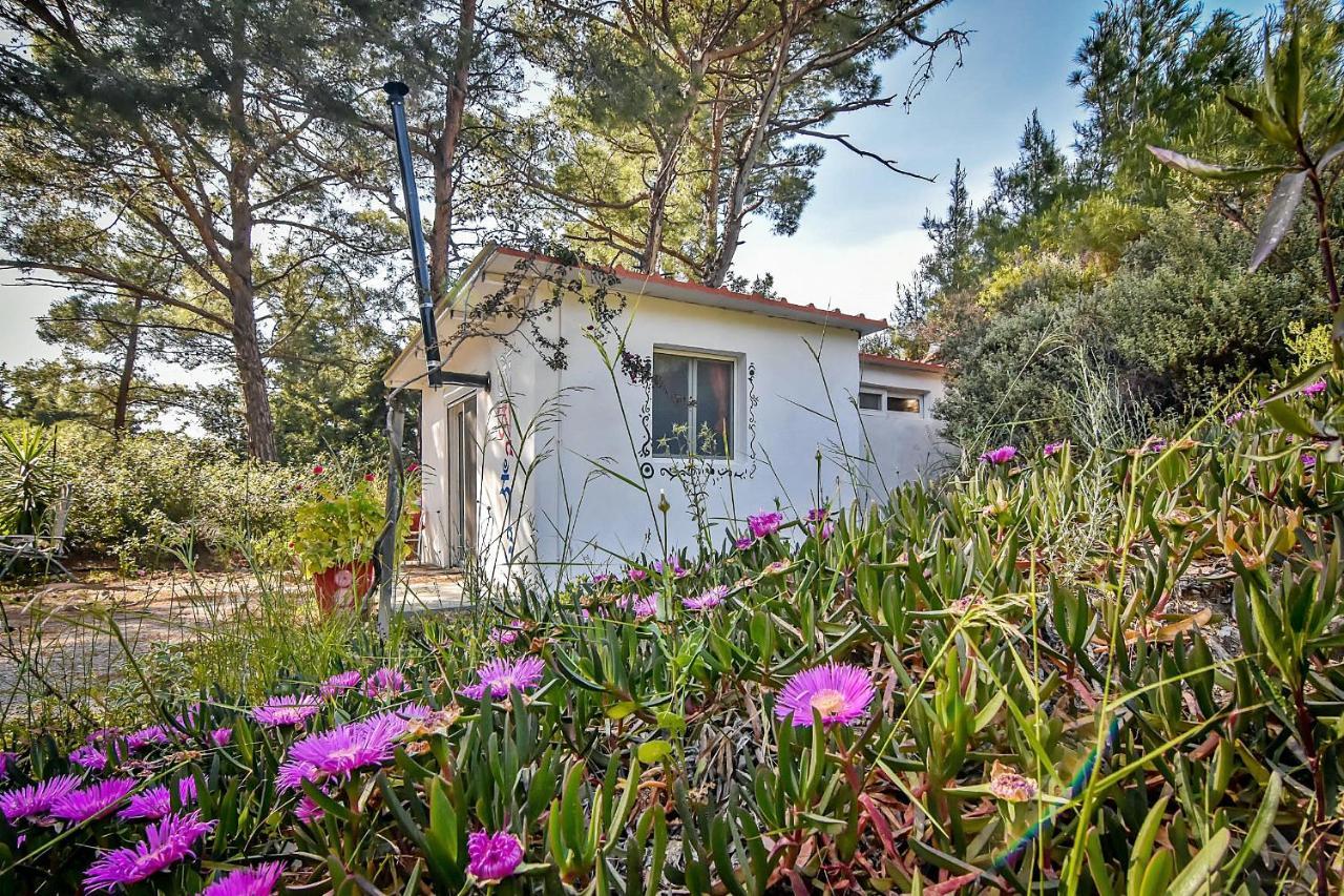 Drolma Ling Nature Cabins Theologos  Ngoại thất bức ảnh