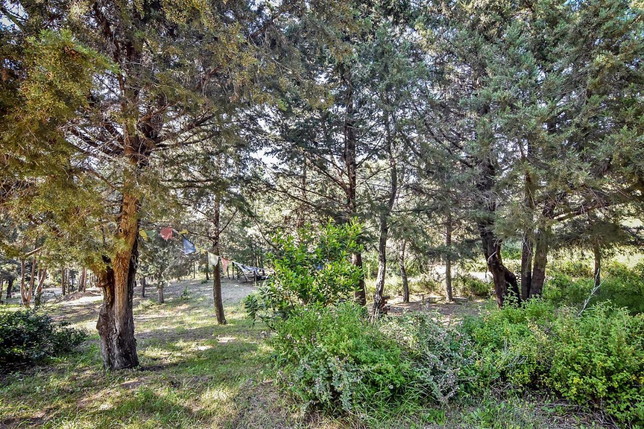 Drolma Ling Nature Cabins Theologos  Ngoại thất bức ảnh