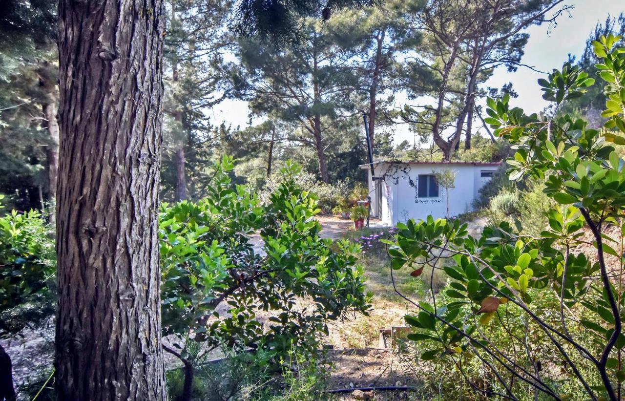 Drolma Ling Nature Cabins Theologos  Ngoại thất bức ảnh