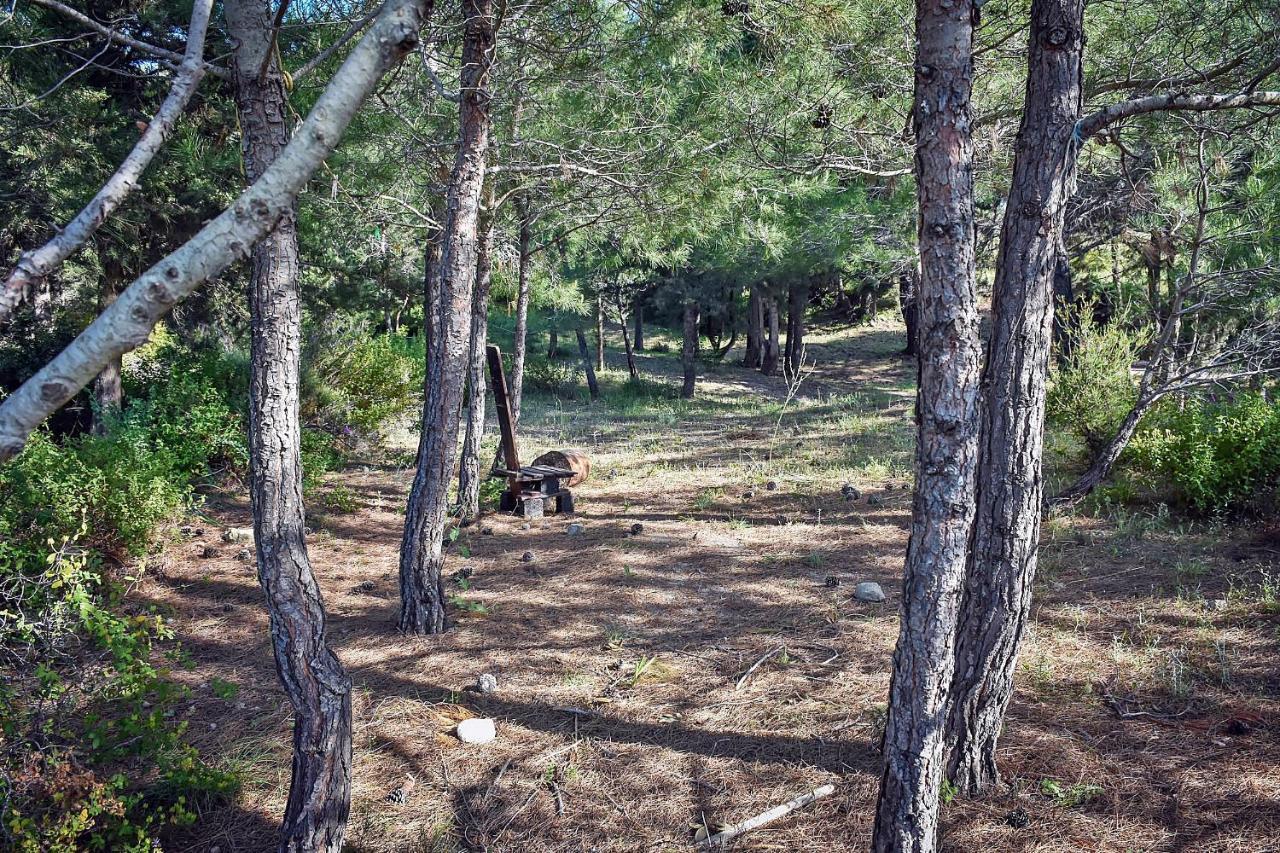 Drolma Ling Nature Cabins Theologos  Ngoại thất bức ảnh