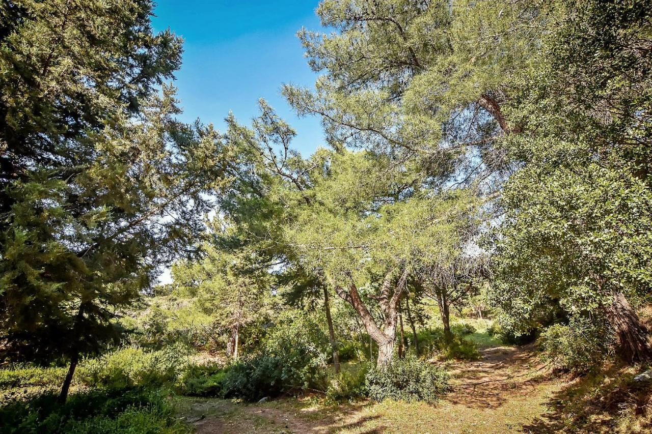Drolma Ling Nature Cabins Theologos  Ngoại thất bức ảnh