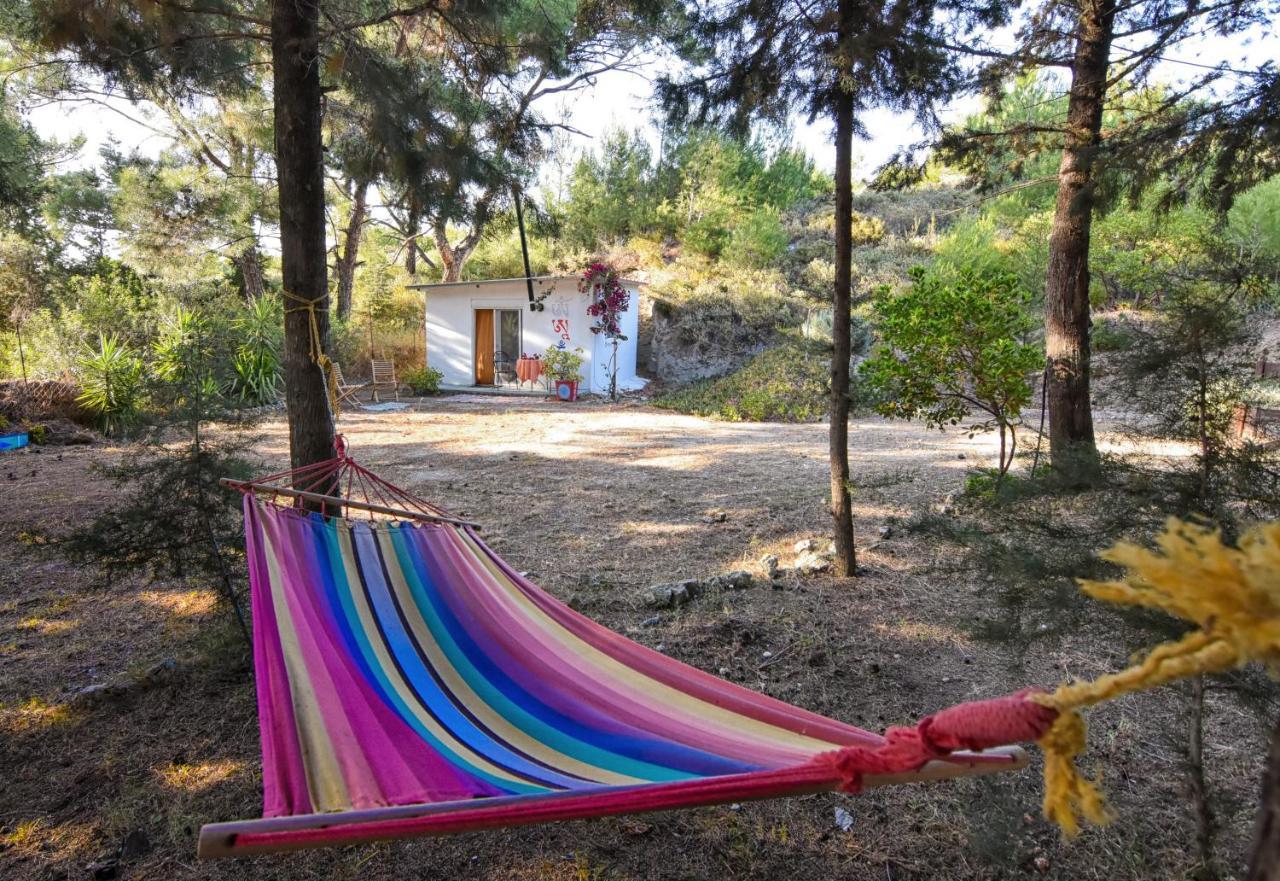 Drolma Ling Nature Cabins Theologos  Ngoại thất bức ảnh