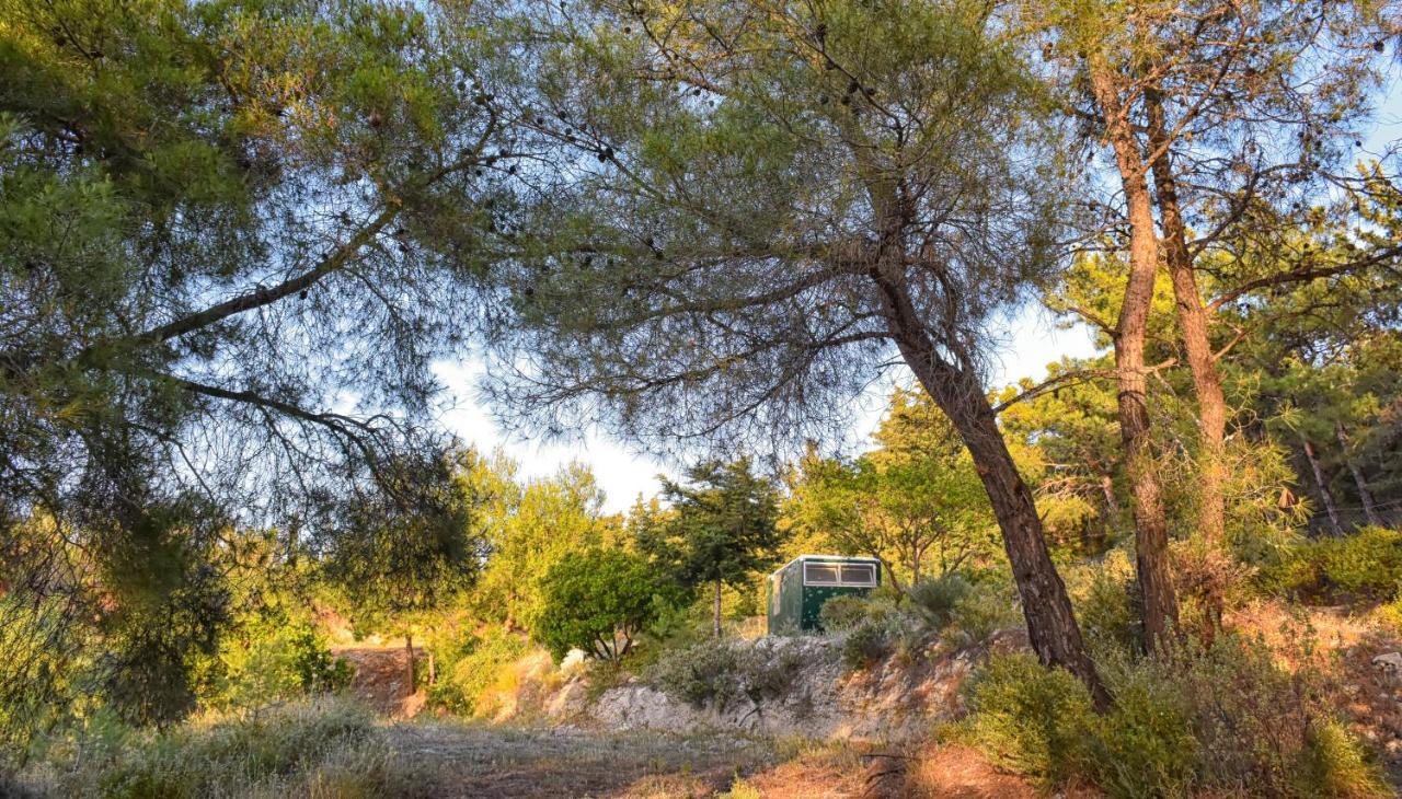 Drolma Ling Nature Cabins Theologos  Ngoại thất bức ảnh