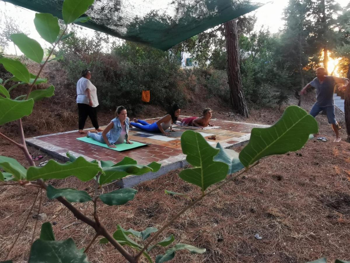 Drolma Ling Nature Cabins Theologos  Ngoại thất bức ảnh