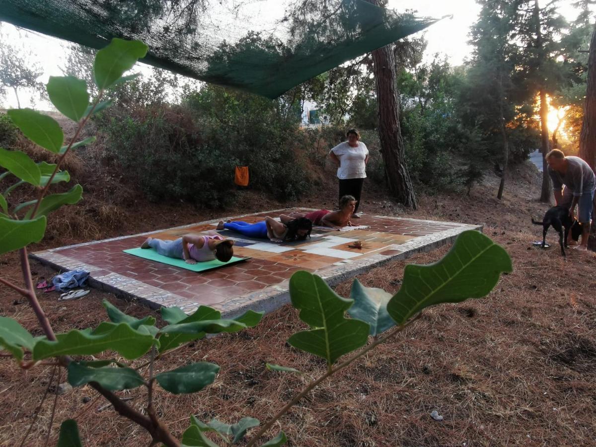 Drolma Ling Nature Cabins Theologos  Ngoại thất bức ảnh