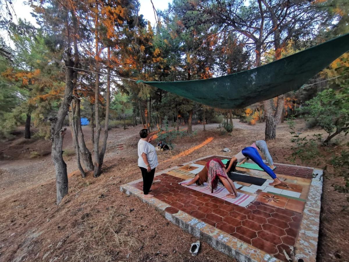 Drolma Ling Nature Cabins Theologos  Ngoại thất bức ảnh