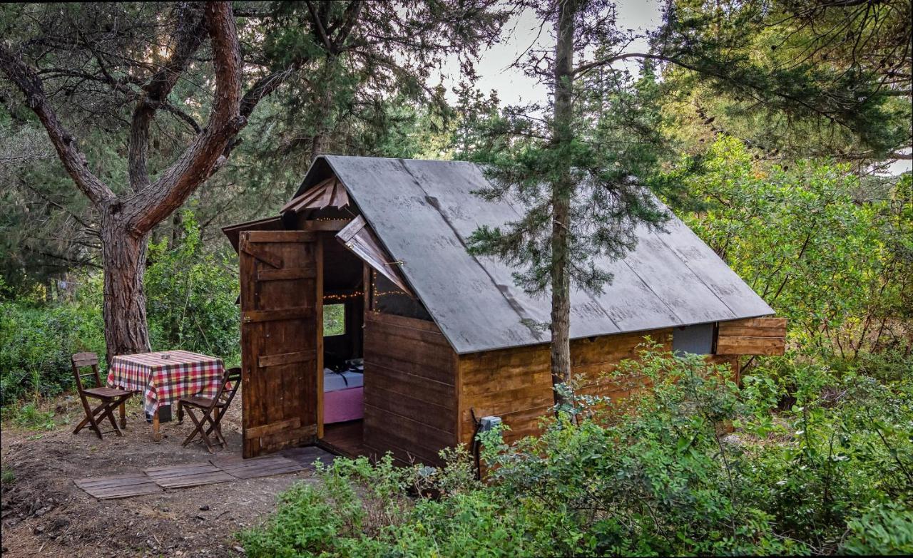 Drolma Ling Nature Cabins Theologos  Ngoại thất bức ảnh