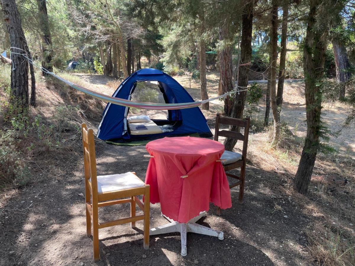 Drolma Ling Nature Cabins Theologos  Ngoại thất bức ảnh