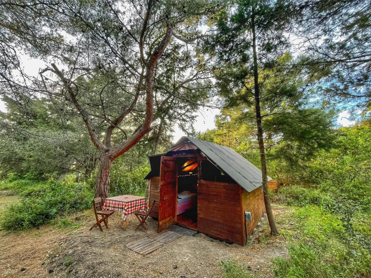 Drolma Ling Nature Cabins Theologos  Ngoại thất bức ảnh