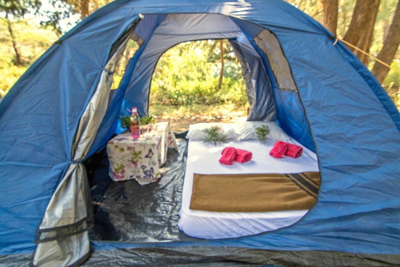 Drolma Ling Nature Cabins Theologos  Ngoại thất bức ảnh