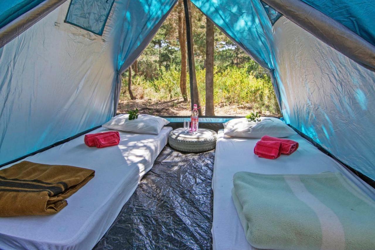 Drolma Ling Nature Cabins Theologos  Ngoại thất bức ảnh