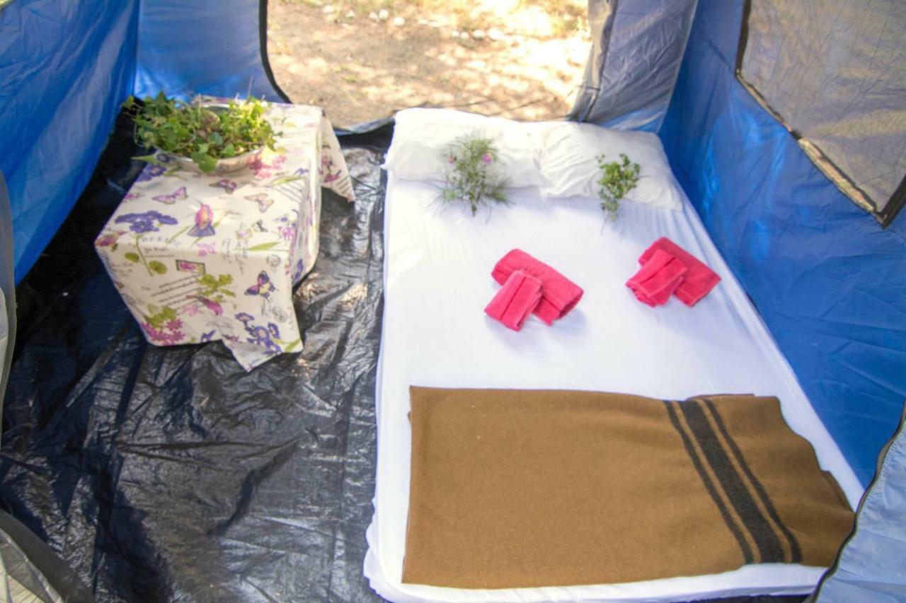 Drolma Ling Nature Cabins Theologos  Ngoại thất bức ảnh