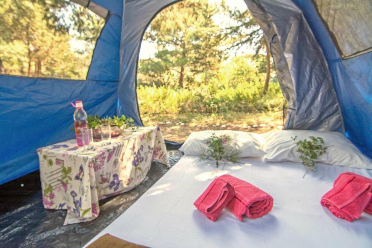 Drolma Ling Nature Cabins Theologos  Ngoại thất bức ảnh